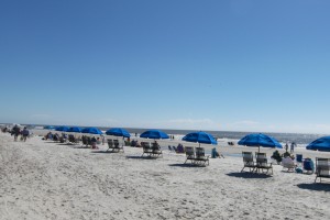 Beach umbrellas at Folly Field